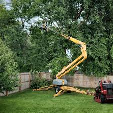 Best Lawn Watering Services  in West Peoria, IL